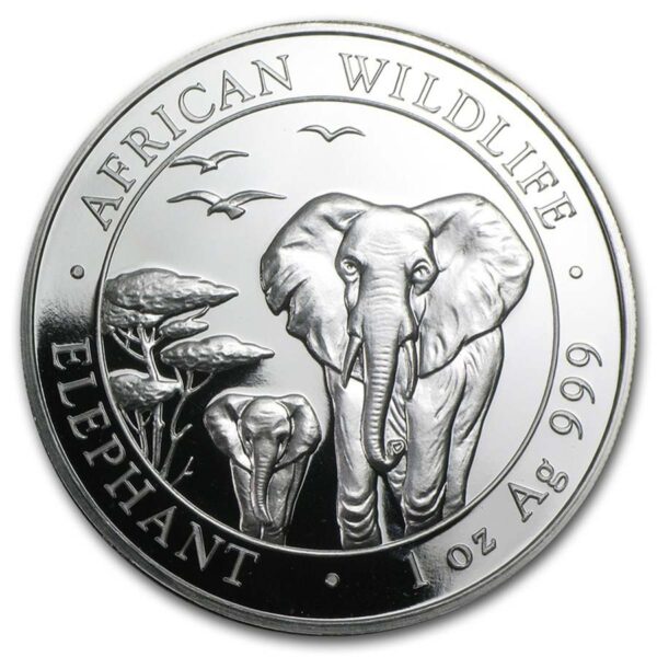 elephant silver coin