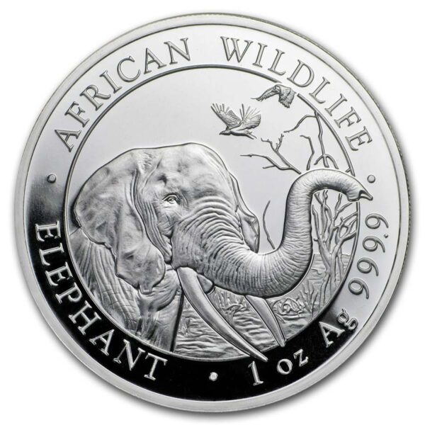 Somalia elephant silver coin