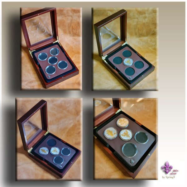 four presentation Cases with coins and capsules