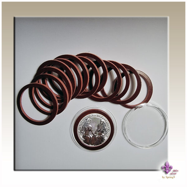 set of leather rings and two coins