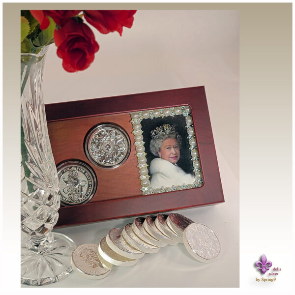 presentation case and group of coins under flower