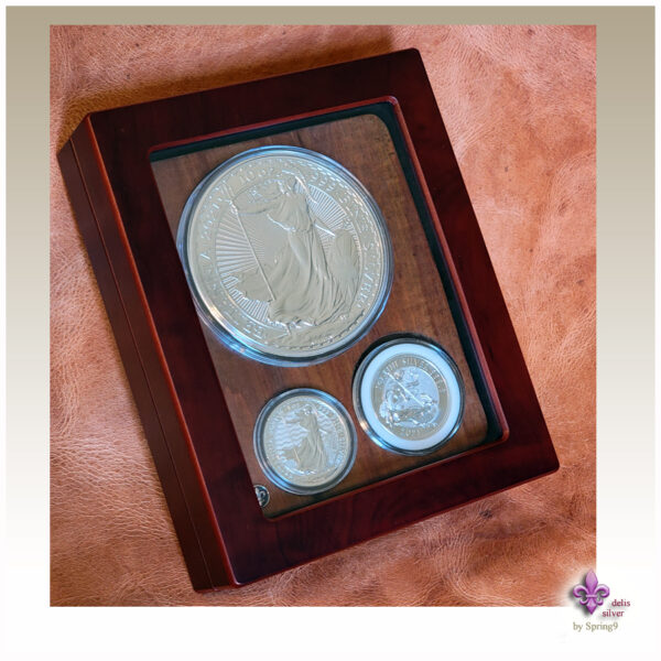 presentation case with 10 oz Britannia coin