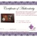 certificate for Gagarin presentation case