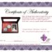 Certificate showing a presentation case
