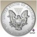 American silver eagle logo