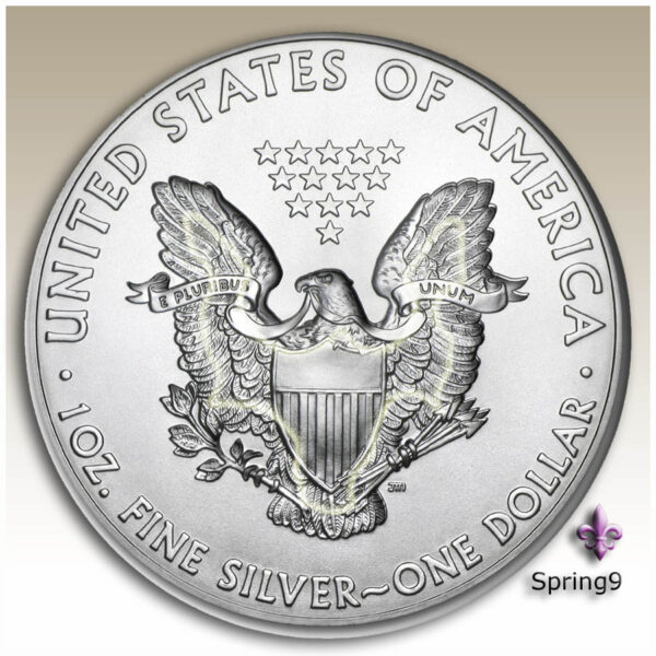 reverse side of an American Silver Eagle coin