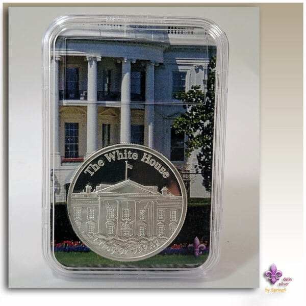 slab with White House and a silver coin inside