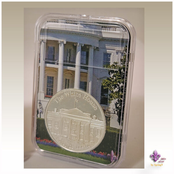 slab with White House and a coin