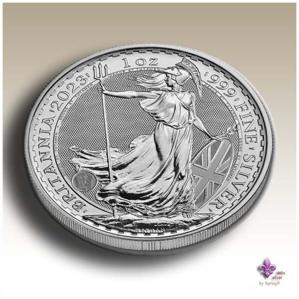 perspective of Britannia silver coin