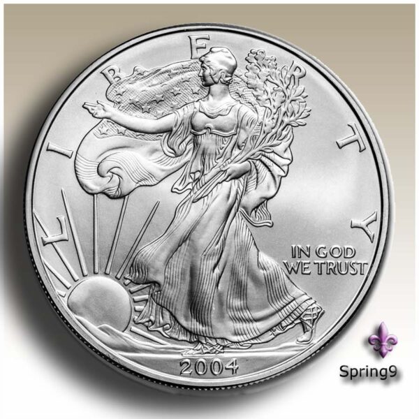 2004 American silver eagle coin