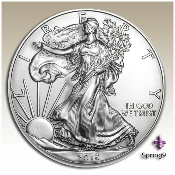 2016 coin with walking lady