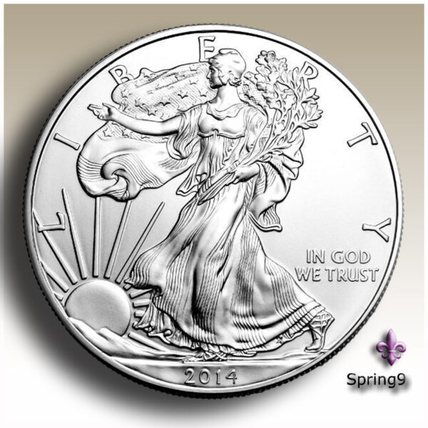 American silver eagle coin