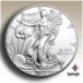 American silver eagle coin