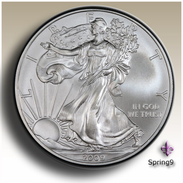 American silver coin 2009