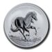 Australian Brumby