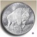buffalo image on a silver coin