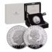 2022 GB 1oz Silver £2