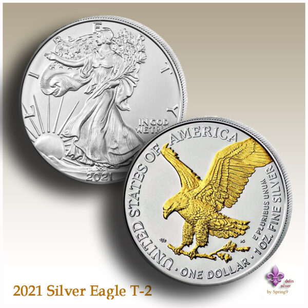 a silver and gold coin