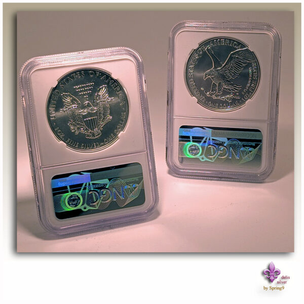 a pair of silver coins in plastic cases