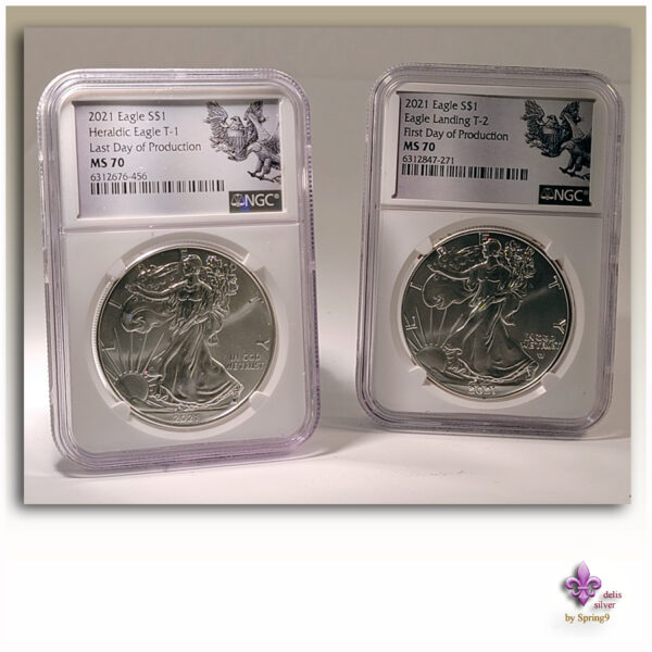 a pair of silver coins in plastic cases