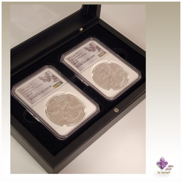 a silver coins in a case