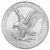 American silver eagle coin