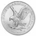 American silver eagle coin