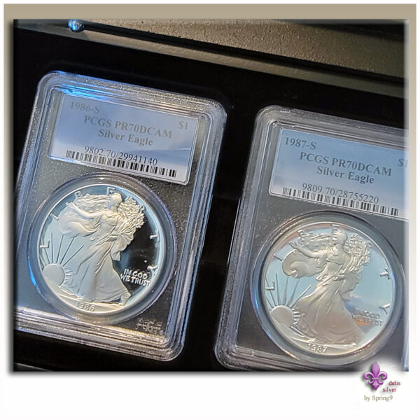 a silver eagle coins in plastic cases