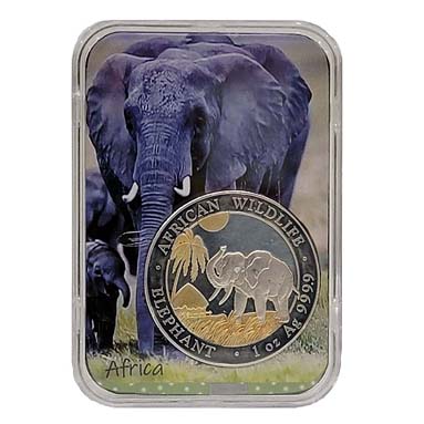 Blue elephant behind the gilded coin