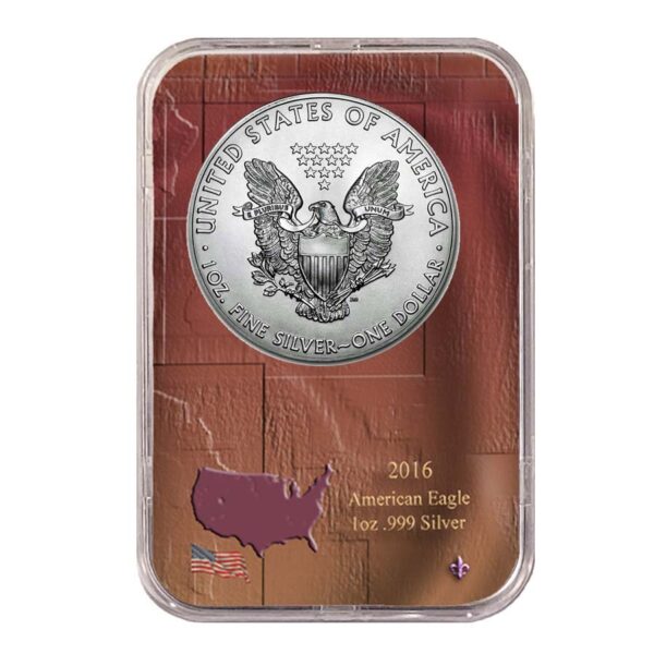 eagle coin in a slab