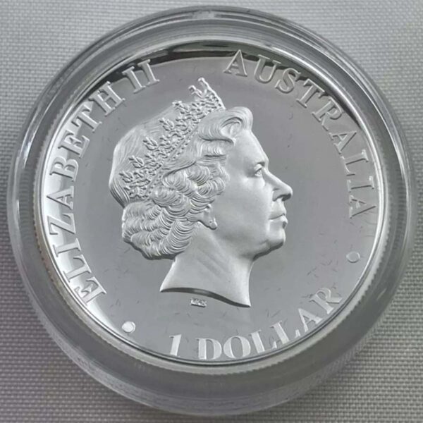 a coin with a profile of the queen