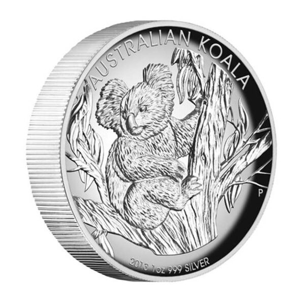 koala on a silver background