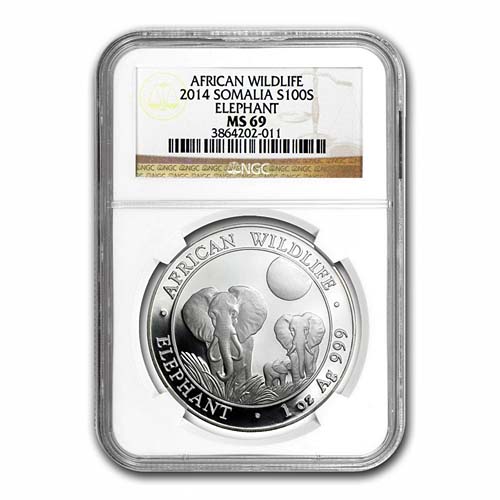2014 Somalia African Elephant