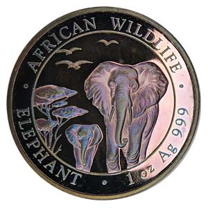 2015 African Silver Elephant