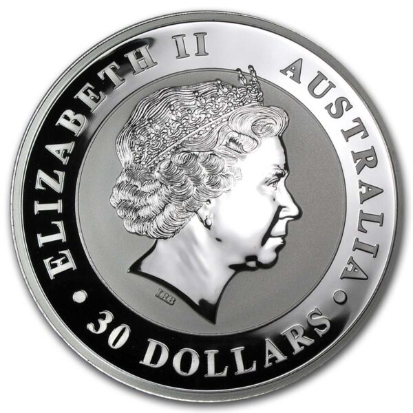 2013 Silver Kookaburra 1 kilo
