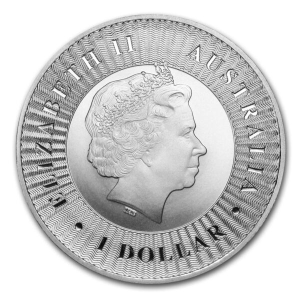 Australian Silver Kangaroo Random